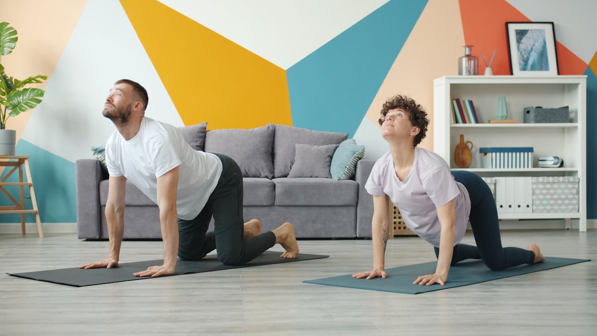 Aliments nutritifs pour les articulations